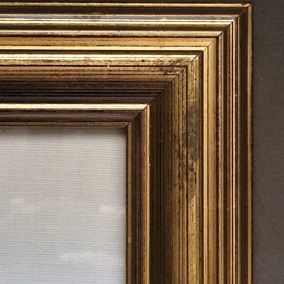 Rhind Botanical History Vegetable Kingdom Hand Colored Bookplate Mushrooms 1855 - Picture 2 of 11